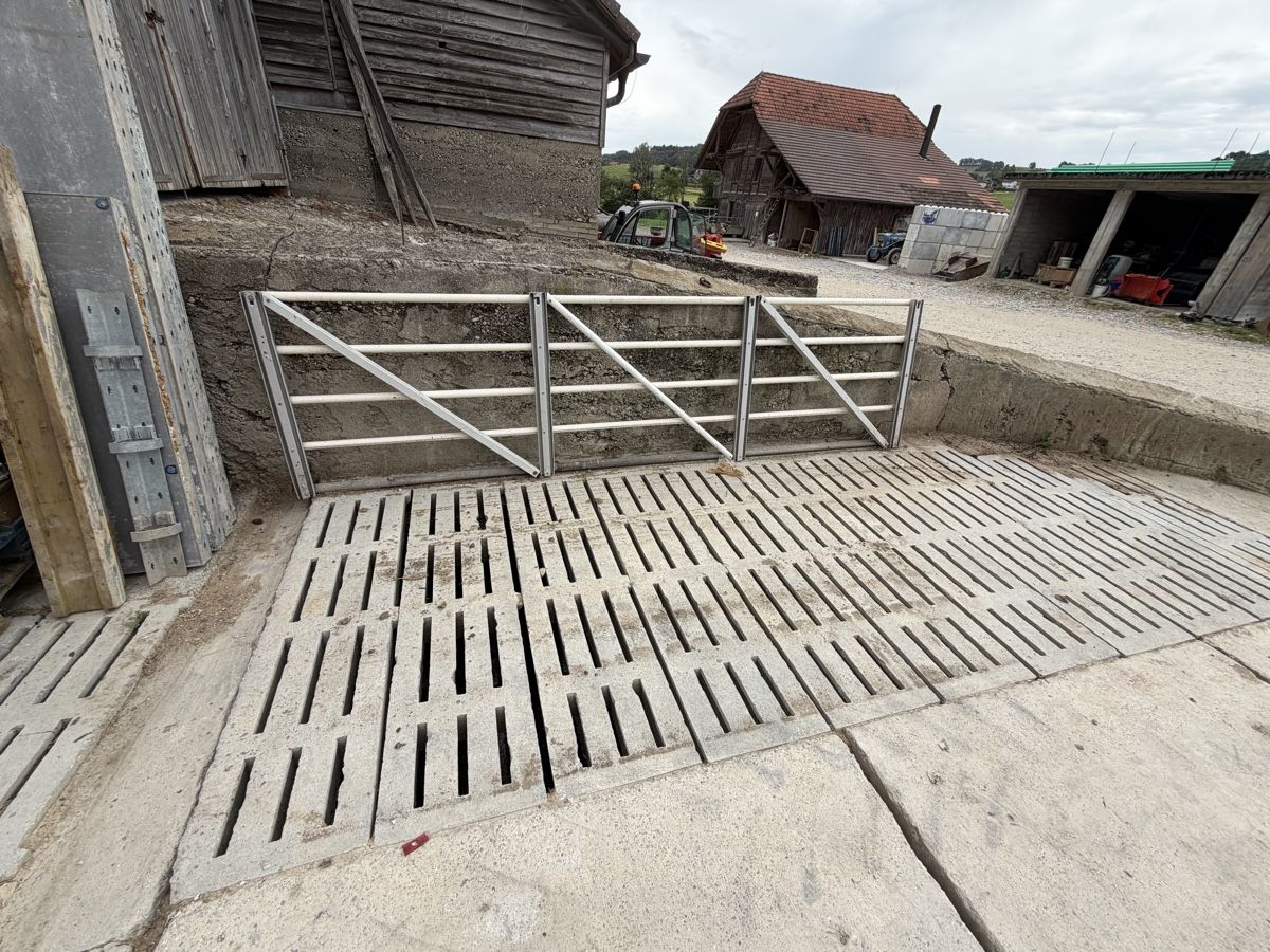 Sonstiges: Schaf Gitter – Gebraucht aus Ueberstorf von FuchsF 3
