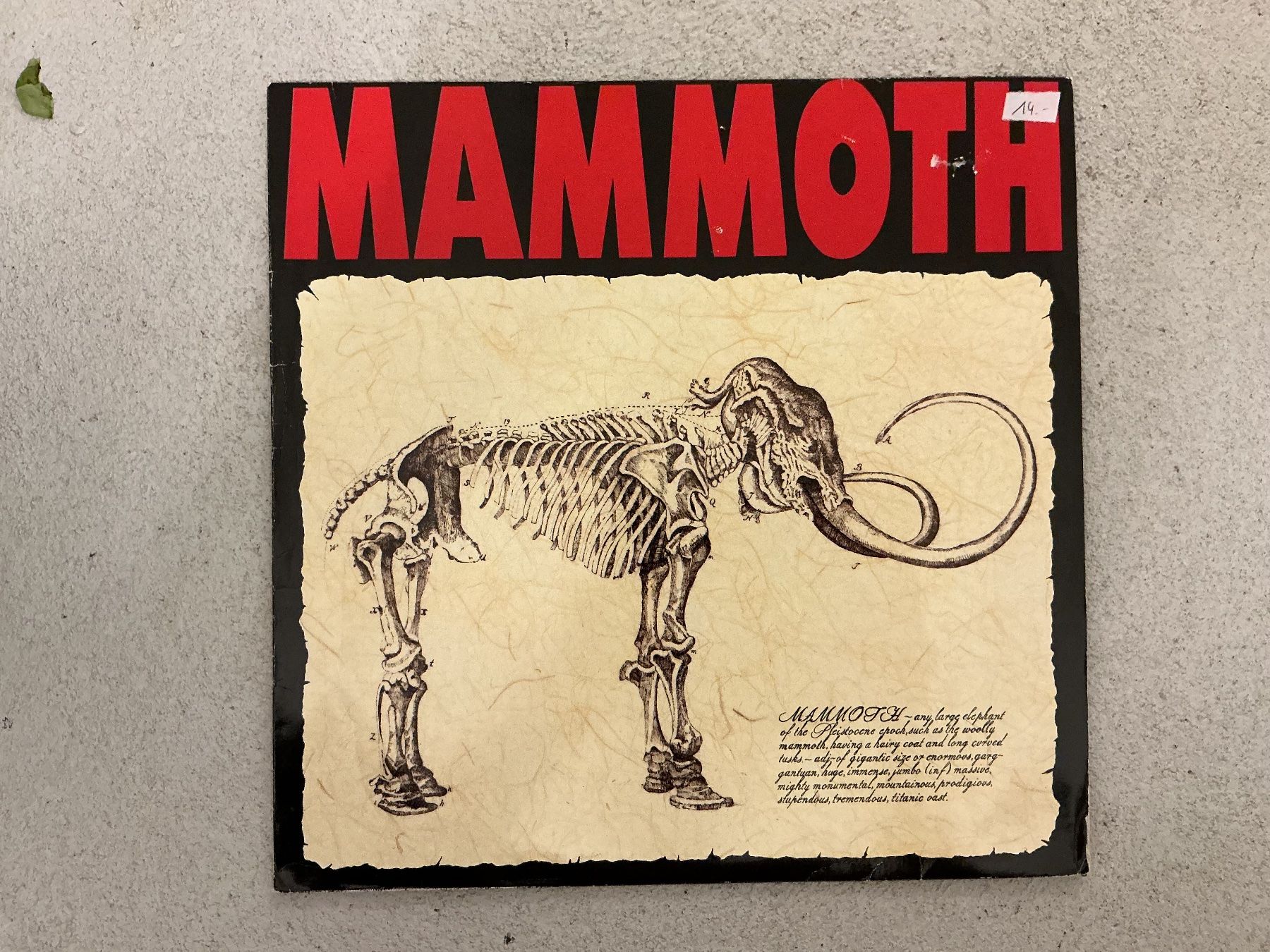 Schallplatten: Mammoth LP – Gebraucht aus Winterthur von Tumko_7_Vinyl