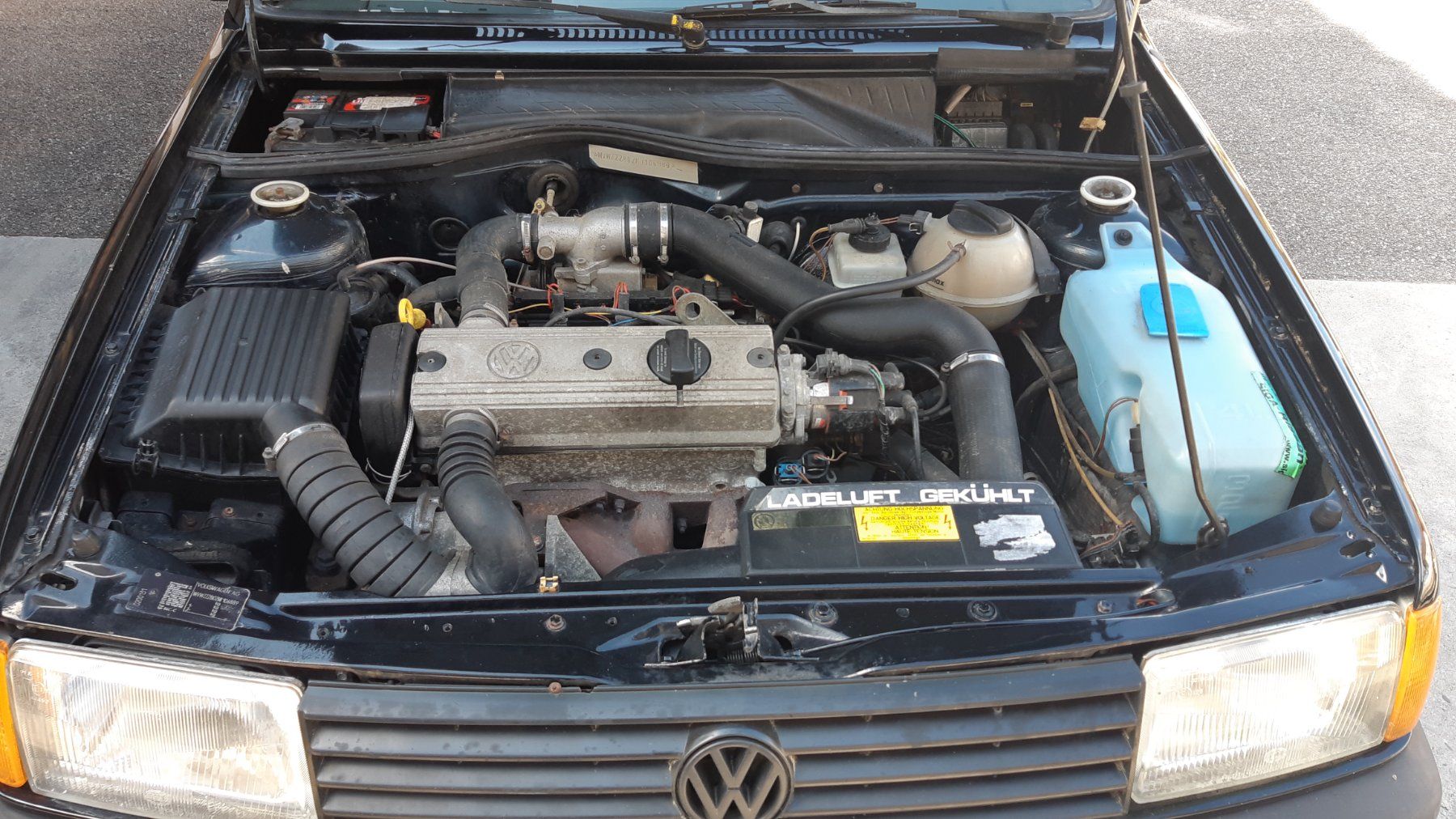 VW Automobili: Vw Polo G40 – Usato da Kleinlützel venduto da Jaguar60 7