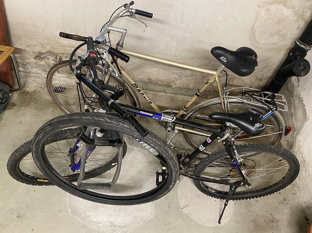 Biciclette: Fahrrad Velo Wheeler – Usato da Zürich venduto da al4hed