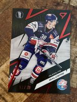 SportZoo Playoffs 12/30 Rudolfs Balzers ZSC Lions