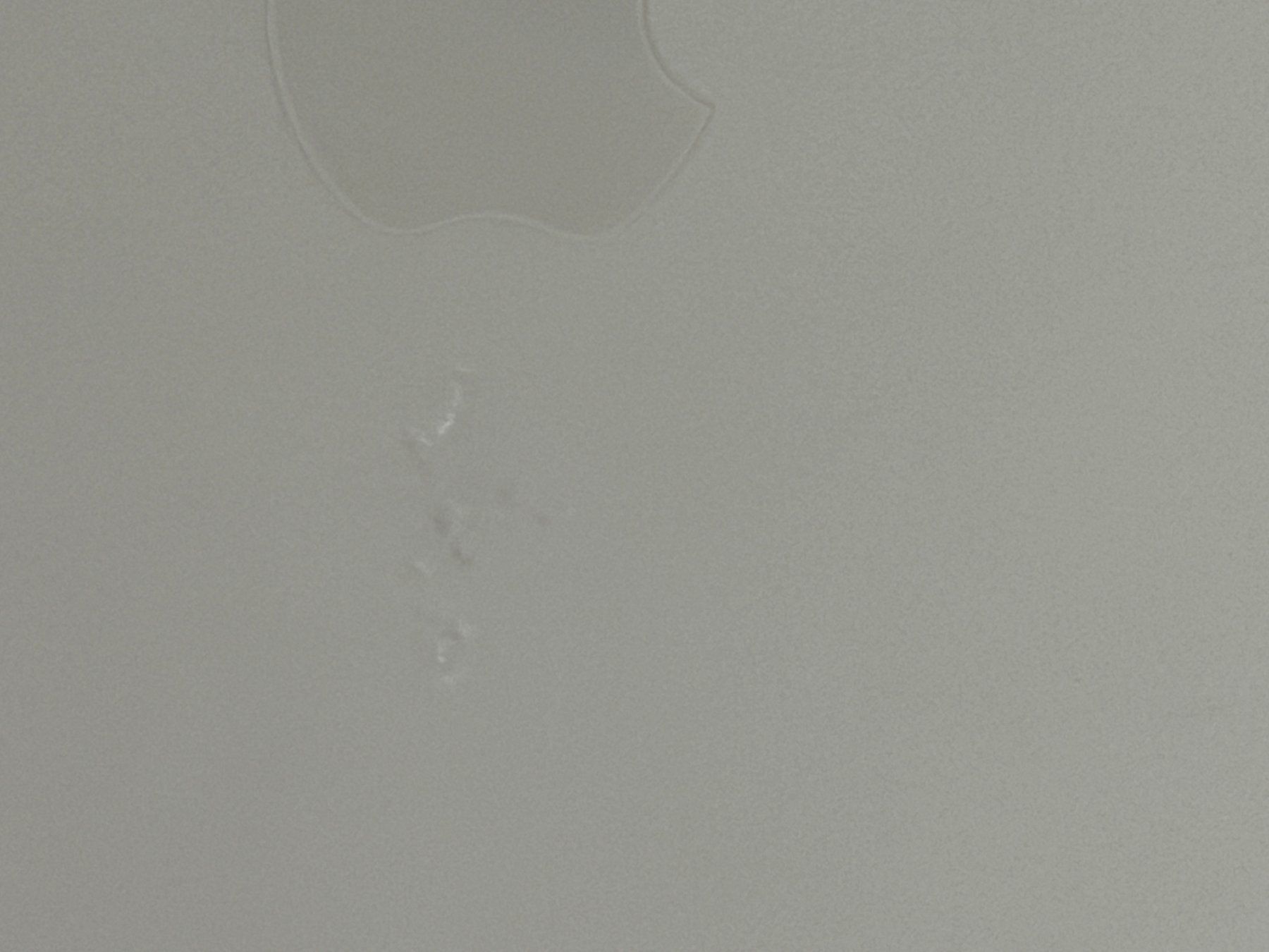 Apple Telefoni cellulari / Smartphones: Iphone 16 Pro 256Gb#64 – Usato da Au SG venduto da bah_6f5w 2