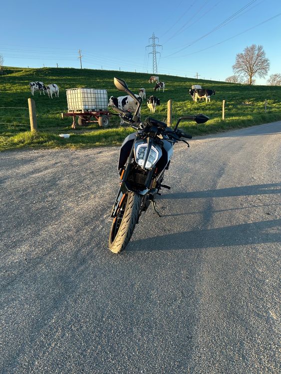 KTM Strada: KTM Duke 125 – Usato da Düdingen venduto da luk_c9m2 3