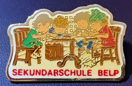Q851 - Pin Sekundarschule Belp