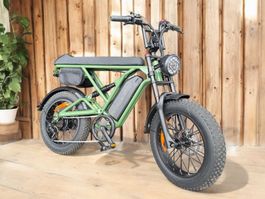 Elektrobike Fatbike Elektrovelo T20-D - 500 Watt - 25 km/h