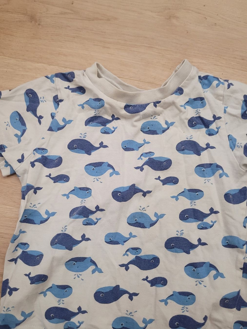 Hemden, T-Shirts & Polos: t-shirt Gr. 98/104 – Gebraucht aus Lupsingen von sta_wgg5 2