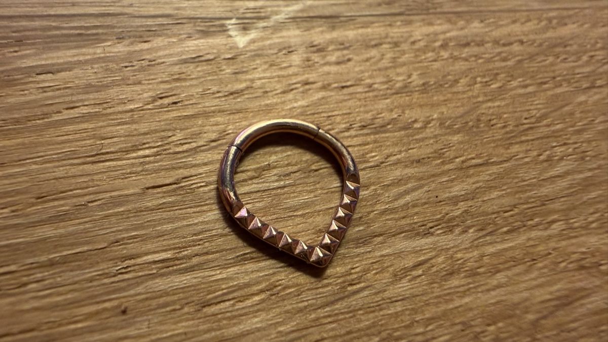 Gioielli per piercing: 7 Clicker Segment Rings - Septum Ear – Usato da Gebenstorf venduto da D0minika 5