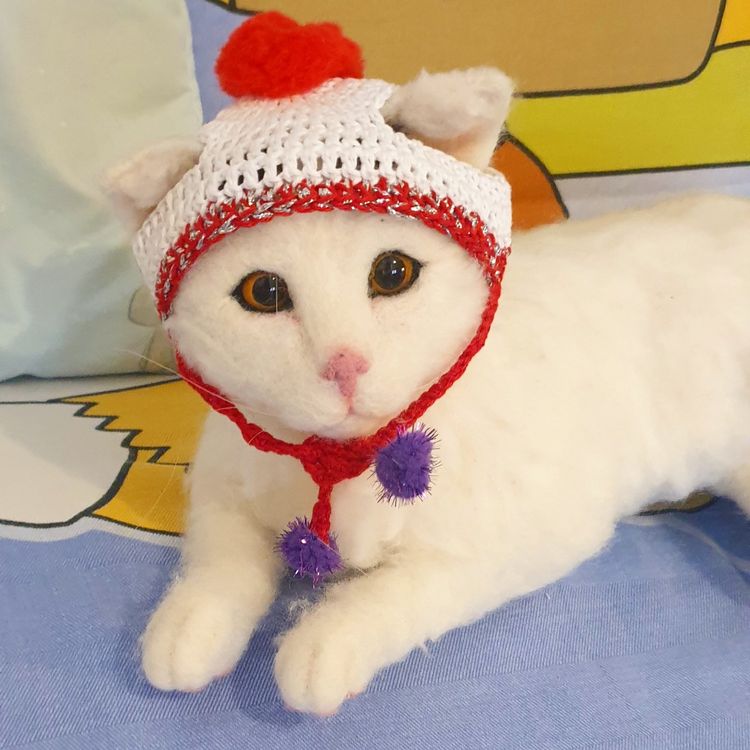 de Noël pour chats coton 100 Kaufen auf Ricardo