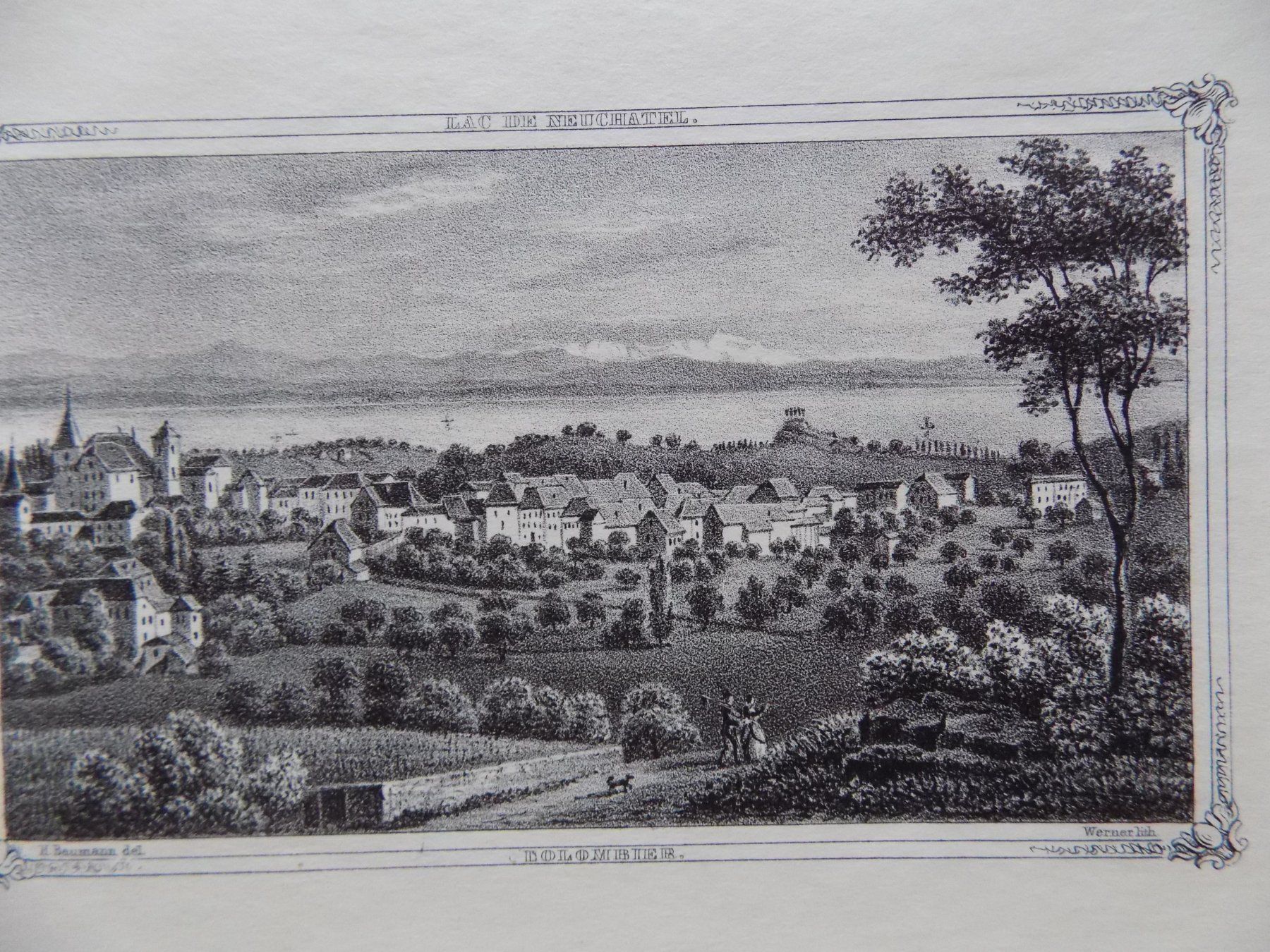 Incisioni: Colombier Lithographie um 1855 – Usato da Risch venduto da Antikfee 5