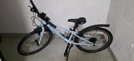 Scool Bike 24" frisch ab Service vom Fachmann