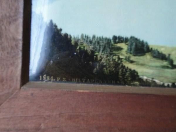 Foto & Immagini: Photochromdruck - Silvaplana Silsersee – Usato da Chur venduto da omonia 2