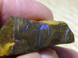 BOULDER ROH OPAL 50.92 Kt Gebot 1.- Elektisch Blau feuer