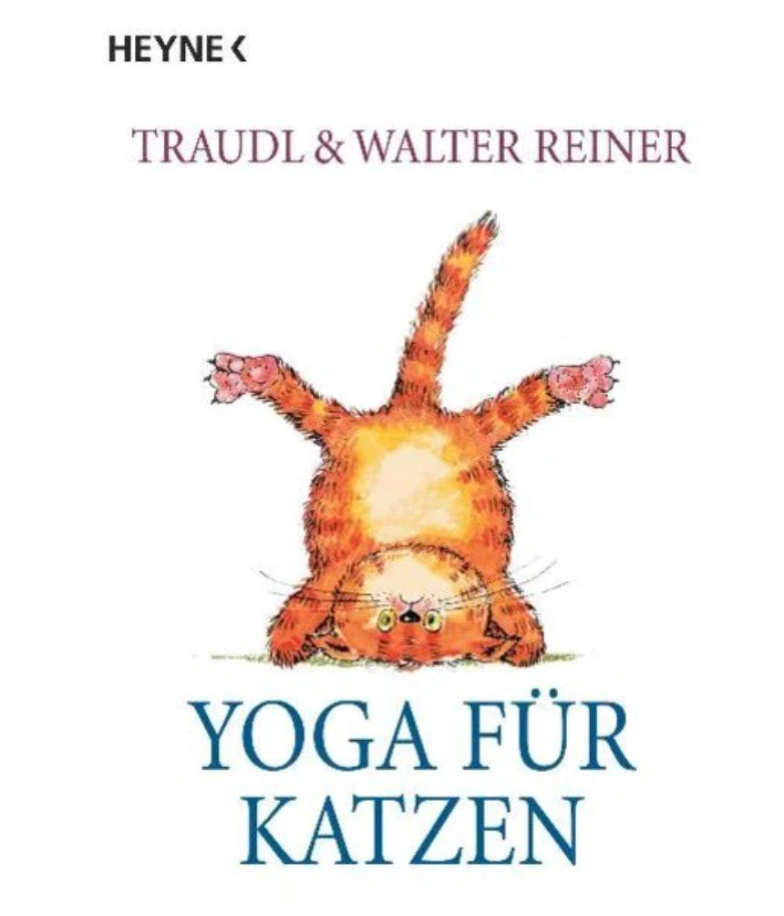 Libri: Yoga für Katzen – Usato da Frauenfeld venduto da SCHATZtruhe_369