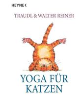 Yoga für Katzen