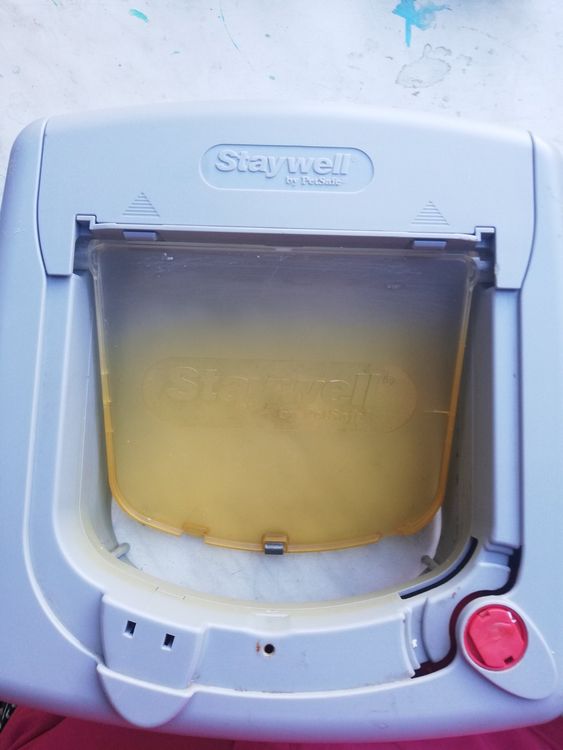 Staywell Katzentür 919 Mit Durchsichtiger Klappe - 4-Wege-Verschluss Für Katzen Bis 7kg