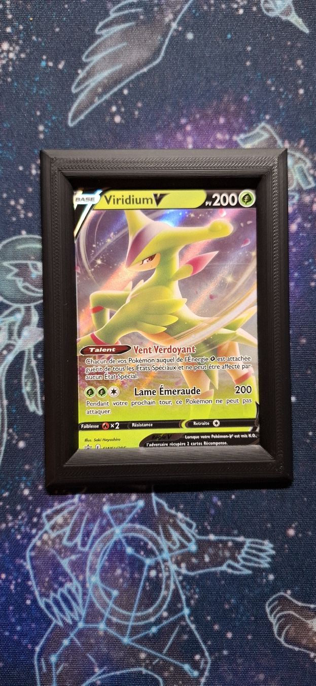 Pokémon Carte collezionabili: Viridium V - Promo SWSH 295 FR – Nuovo (secondo la descrizione) da Petit-Lancy venduto da Kara_TCG