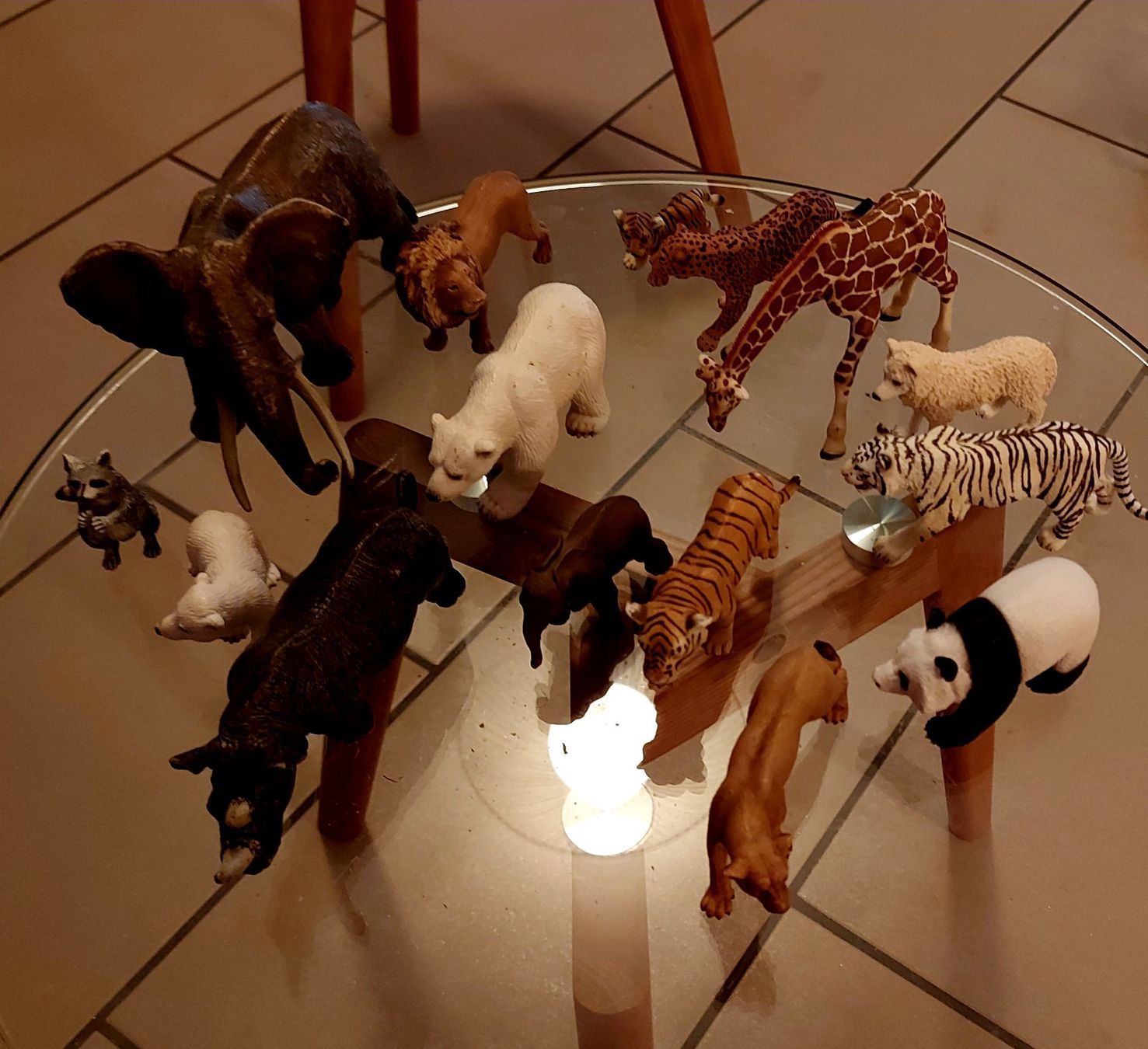 Schleich Giocattoli: Wildtiere Schleich – Usato da Ried-Brig venduto da Pimlico