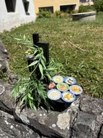 Miniatur Essen Set mit Sushi und Pflanzen Dekoration