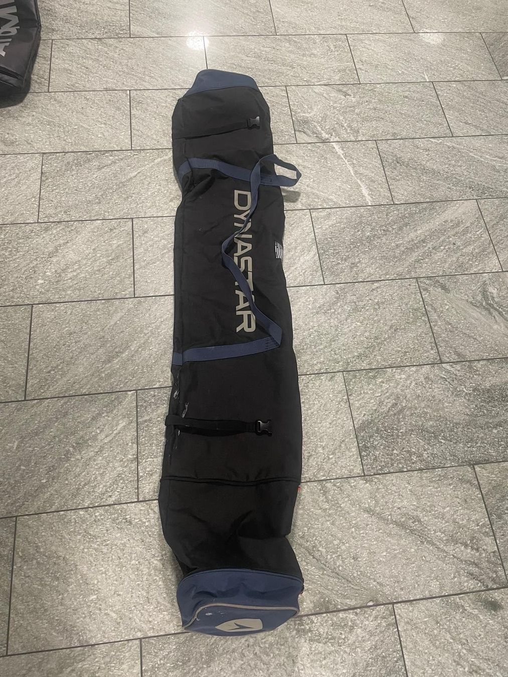 Dynastar Sci: Skisack Dynastar – Usato da Präz venduto da Dani680 1