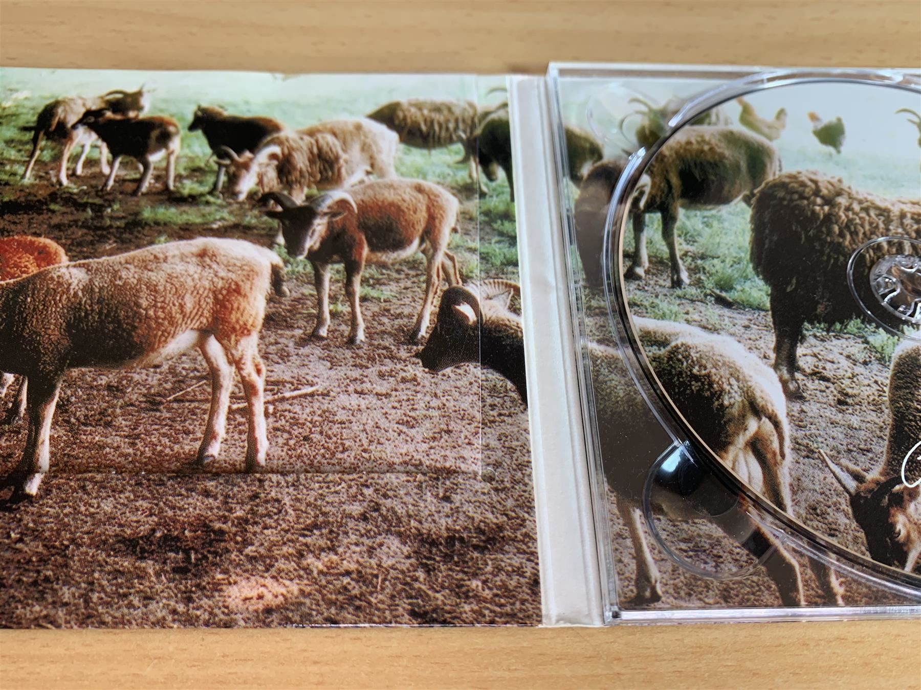 CD: Cow – Feeding Time – Usato da Rikon im Tösstal venduto da Alpenmutz 2