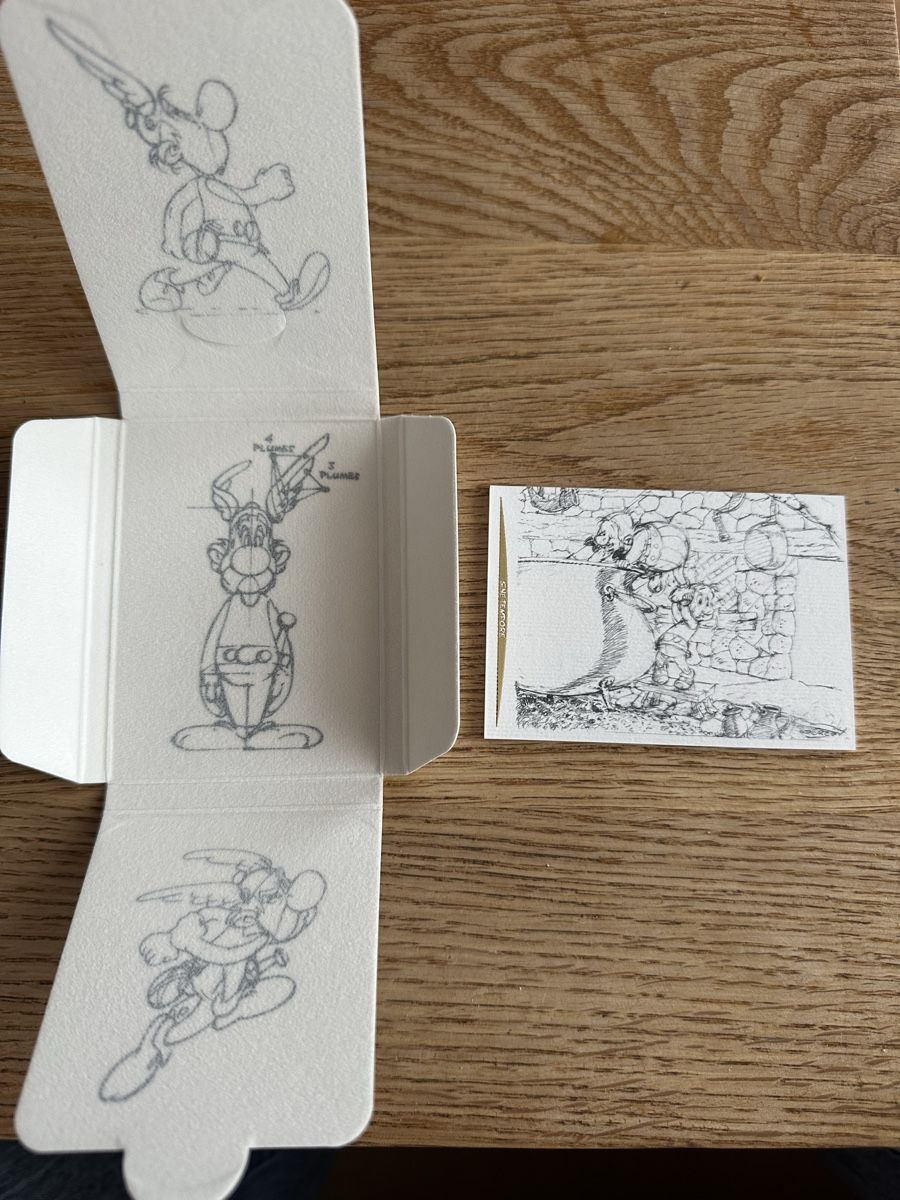Panini Carte collezionabili: Carte Asterix panini 500ex. infinito numerotée – Nuovo e nell'imballaggio originale da Meyrin venduto da houpstragus 4