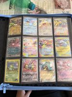 Bulk card ex 