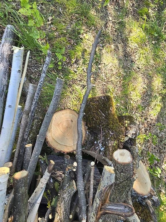 Articoli in legno: Bois de chauffage – Usato da Savièse venduto da Laguinee 1