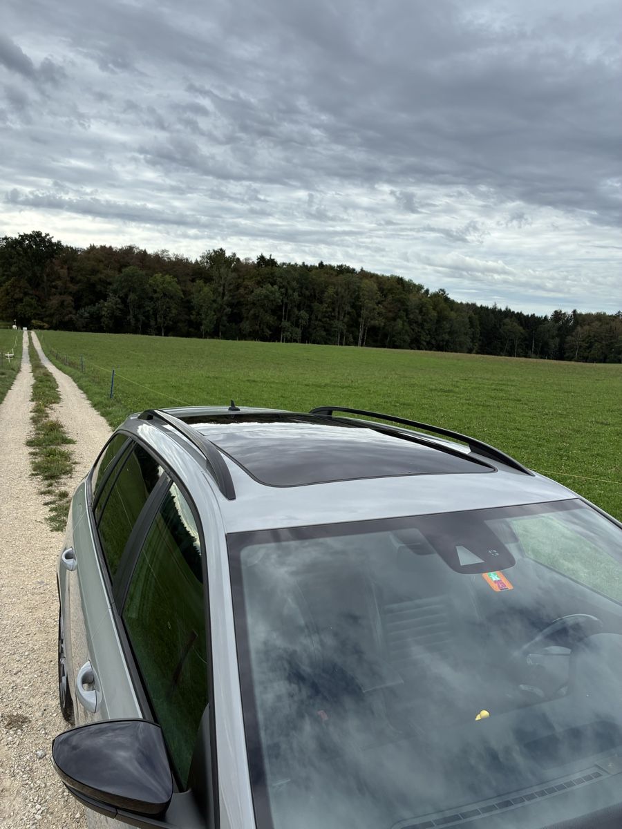 Skoda Automobili: Skoda Octavia Rs – Usato da Rapperswil venduto da Gimu614 3