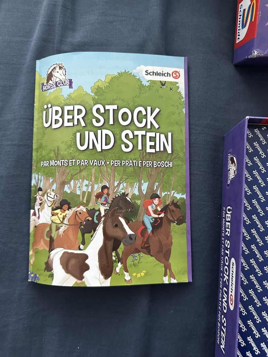 Giochi: Brettspiel für Kinder Schmidt – Usato da Dürrenroth venduto da tvy_bh56 4