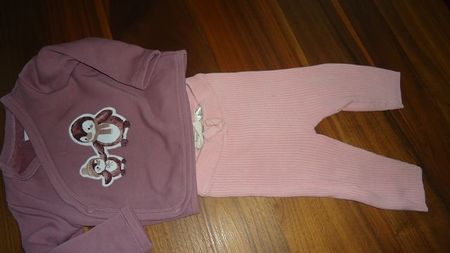 Baby Set Pulli und Leggings Grösse 68 mit Pinguinen