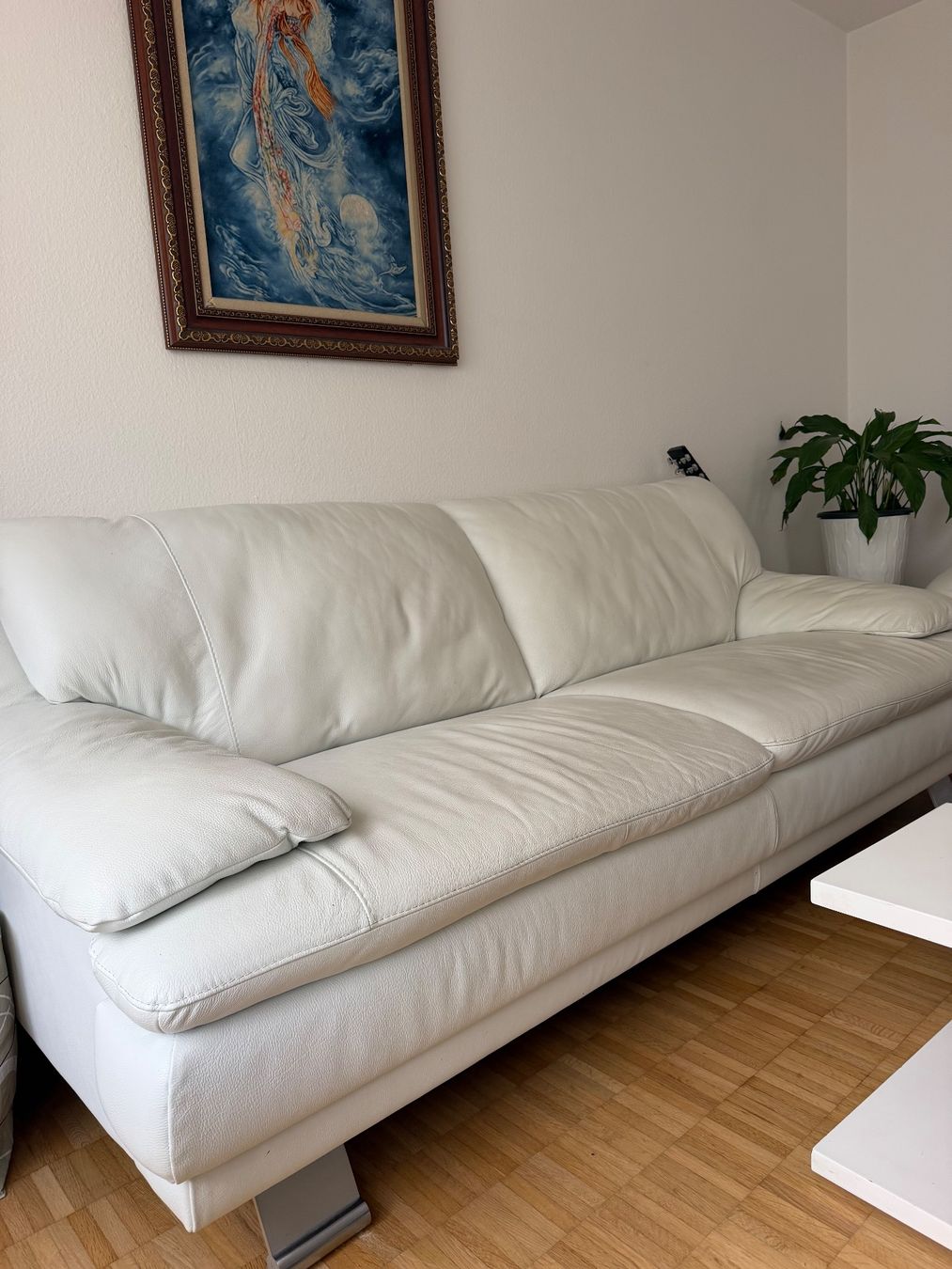 Divani: 2x Ledersofa Top Zustand – Usato da Uster venduto da Ninii003 1