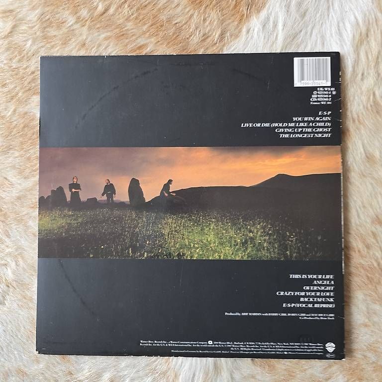 Dischi in vinile: LP - Bee Gees - E.S.P (1987) – Usato da Zürich venduto da cu2morrow