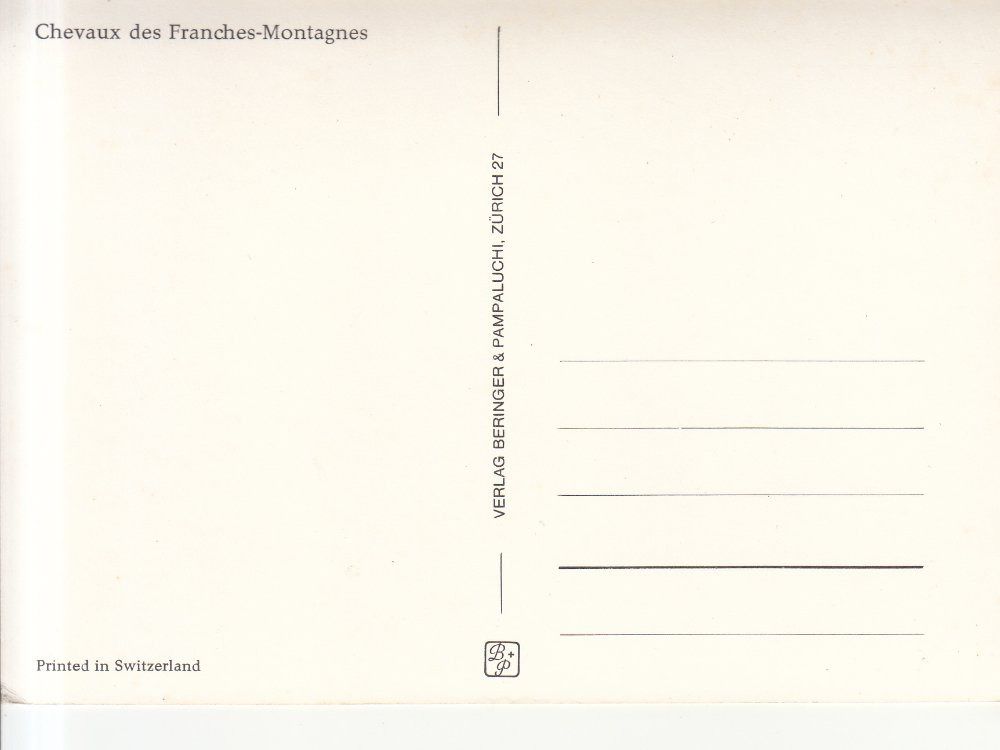Ansichtskarten: Franches Montagnes, Chevaux,  ca. 1950 – Gebraucht aus Bürglen TG von StampGraf 1