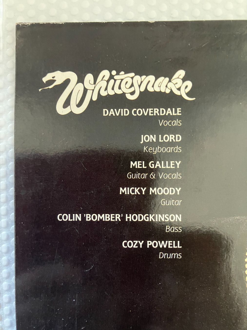 Dischi in vinile: Whitesnake – Usato da Aarwangen venduto da Jukebox3 4