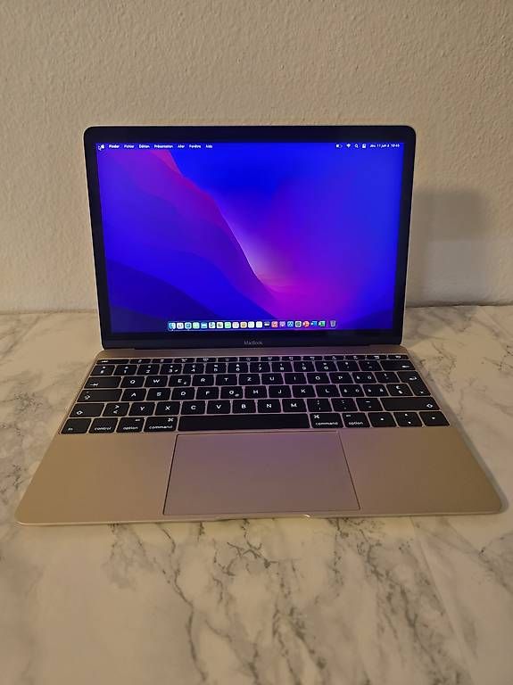 Apple Notebook: MacBook 12" année 2016 -m5 | 8Go RAM | SSD 500Go – Usato da Renens VD venduto da MTD2211