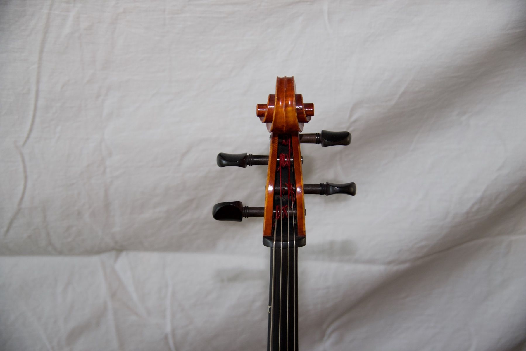Strumenti musicali: Cello 1/2 – wunderschöner Klang, professionell eingestellt – Usato da Adliswil venduto da Doubleglass 6