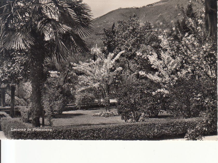 Cartoline postali: Locarno 1948 – Usato da Bürglen TG venduto da StampGraf