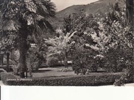 Locarno 1948