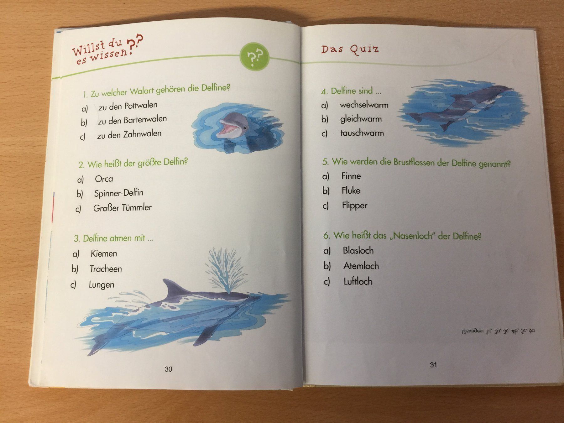 Livres: DELFINE – D'occasion à Glattfelden par cybermaxx 7
