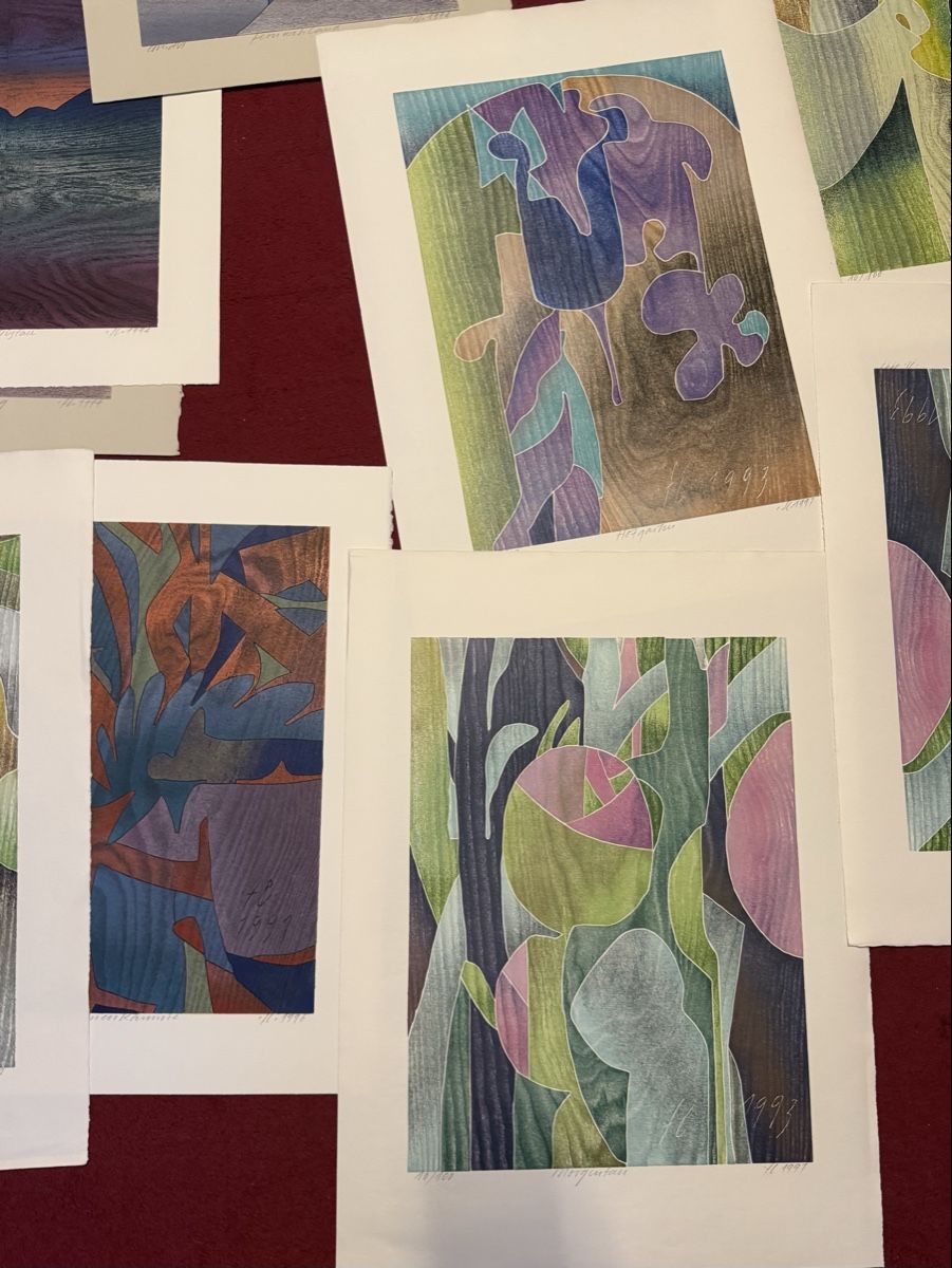 Grafiken & Lithographien: Lithos Hand signiertes Bilder 15 stk.  – Gebraucht aus Schlieren von Freundlich02 3