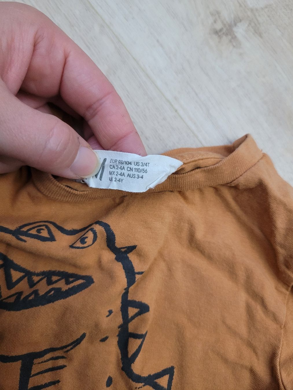 Maglioni & Felpe: Pullover Gr. 98/104 t-rex – Usato da Lupsingen venduto da sta_wgg5 2