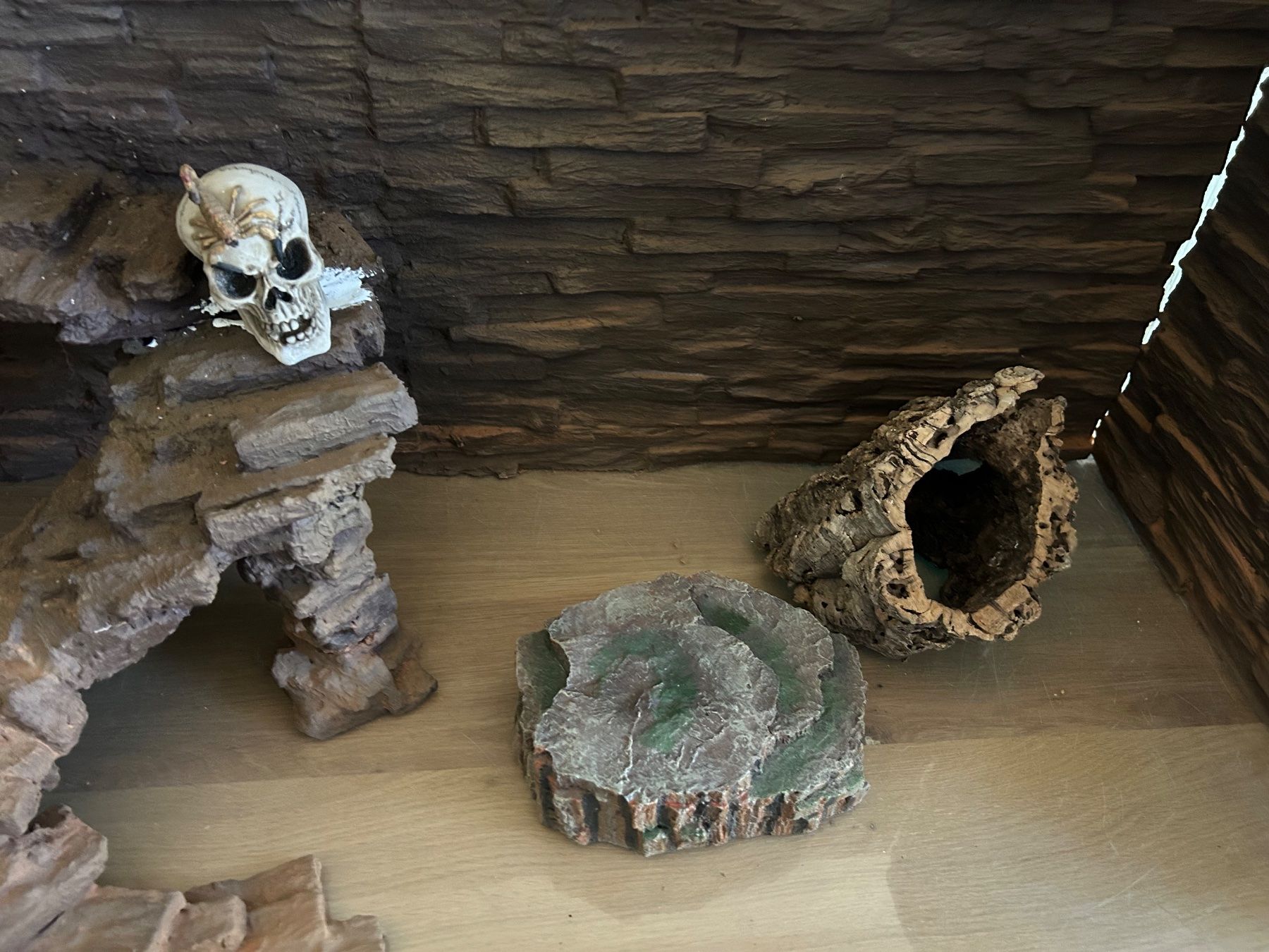 Terrariums: Terrarium – D'occasion à Frick par nikki09 4
