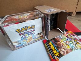 Pokémon Surging Sparks Display + 24 Singles bundle alle OVP