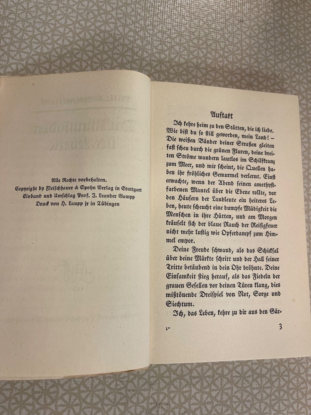 Libri: Buch - P.Steinmüller - Die Rhapsodien des Lebens – Usato da Urnäsch venduto da pas_5r9c 4