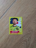 Panini Bild AUS 8