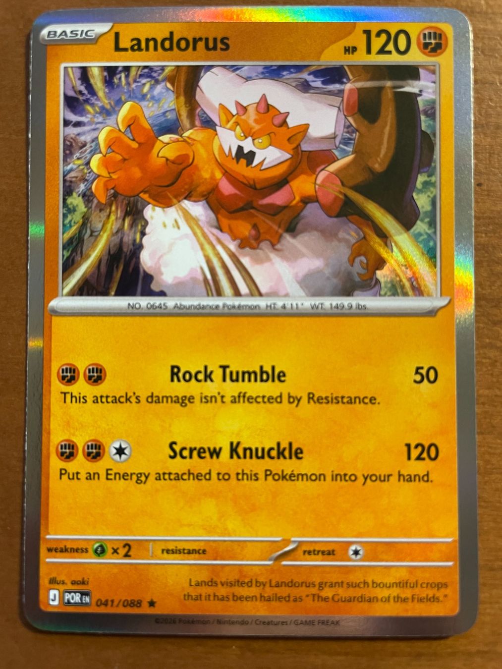 Pokémon Carte collezionabili: Pokemon Landorus Holo (Versand gratis) – Nuovo (secondo la descrizione) da Chur venduto da Angerson