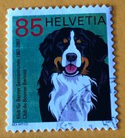 Nr.1227 Berner Sennenhund GESTEMPELT Sondermarken 2007  