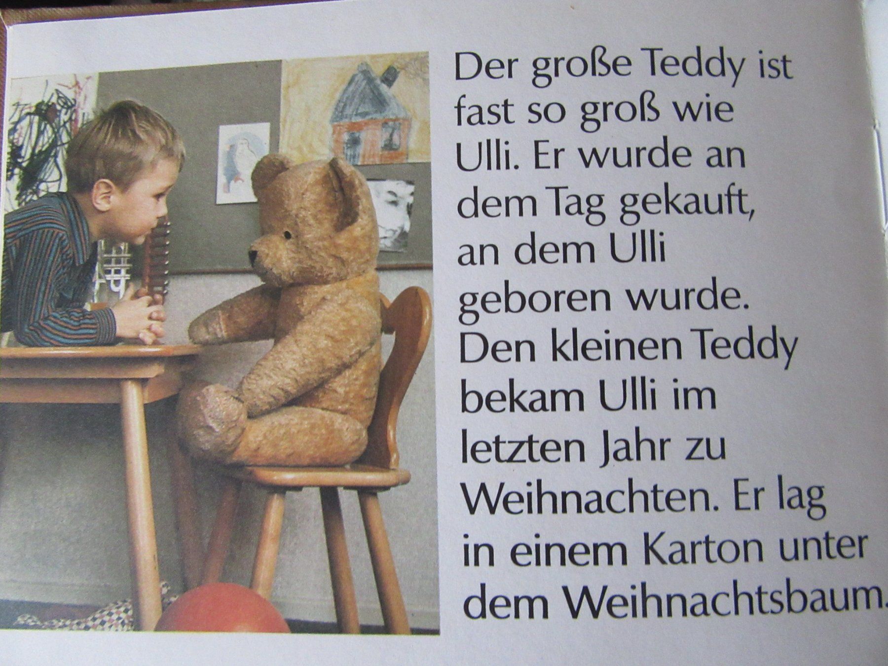 Libri: Buch " Ulli und seine Teddys " – Usato da Rüdtligen venduto da Carfield04 2