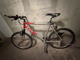Mountainbike / Citybike 