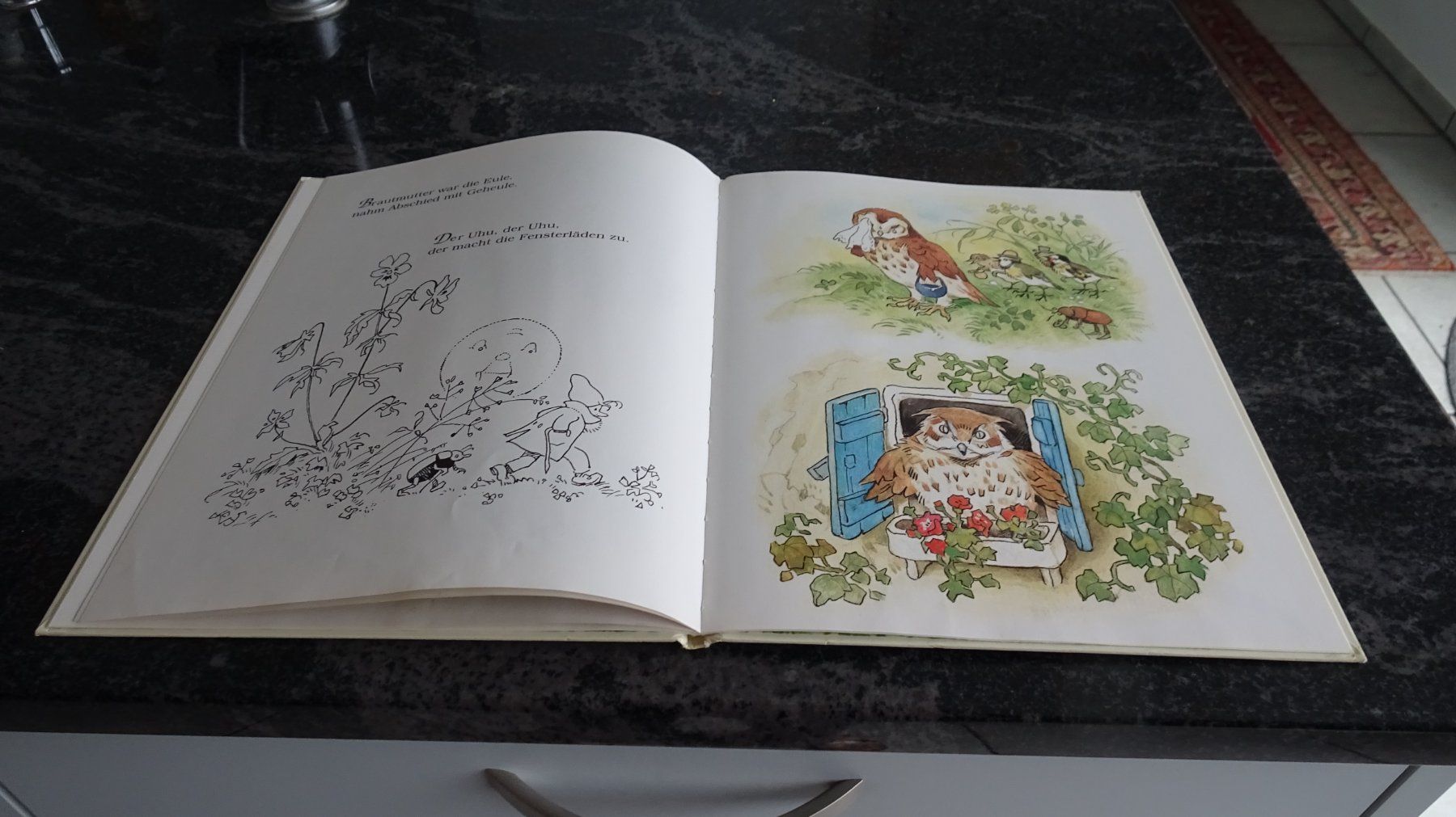 Bücher: Die Vogelhochzeit Eine Geschichte mit Bildern von F.Baumgart – Gebraucht aus Zürich von Roulet 9